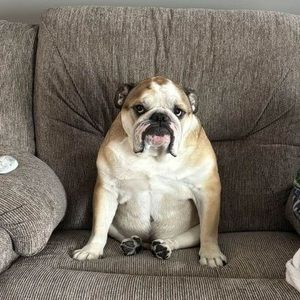 Meet your Posher, Barb-bill